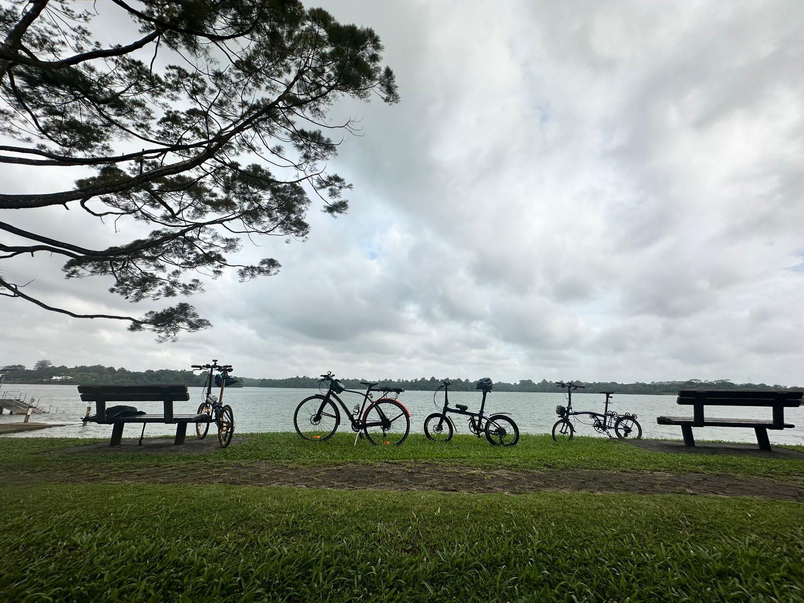 Cyclist gripping handlebars on a mountain descent
